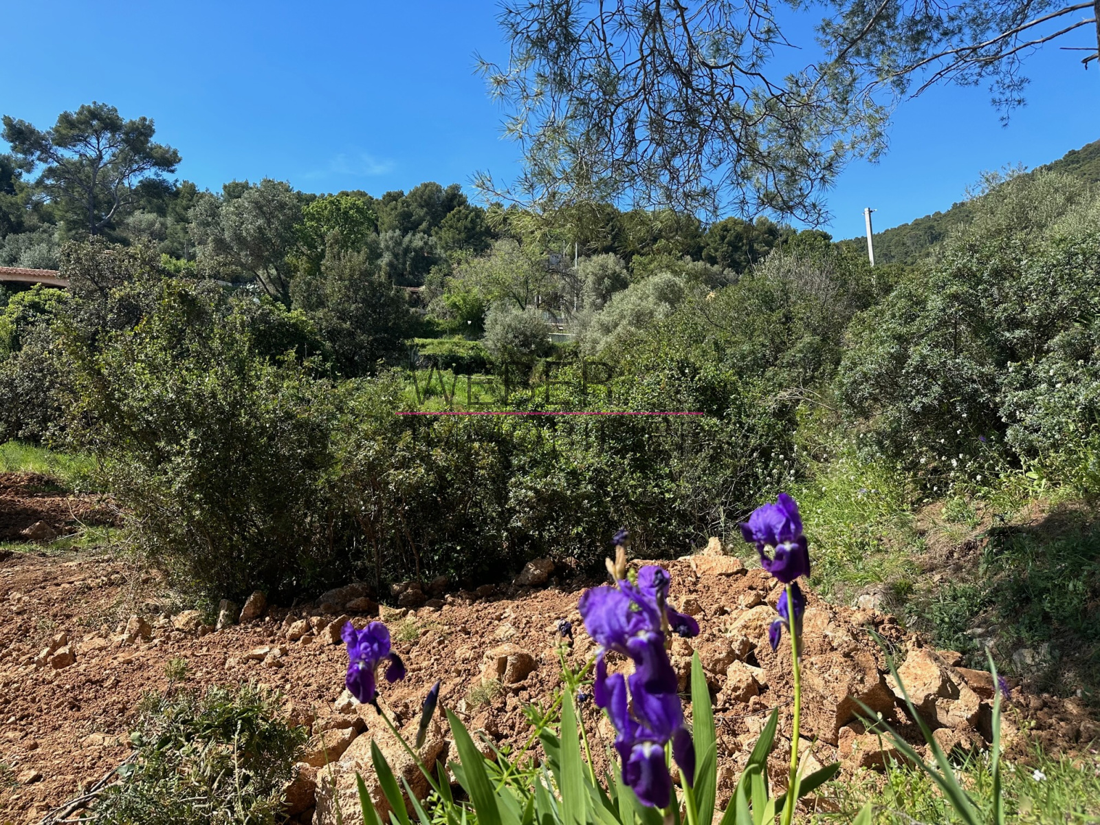 Image_3, Terrain, Ollioules,
                                ref :5