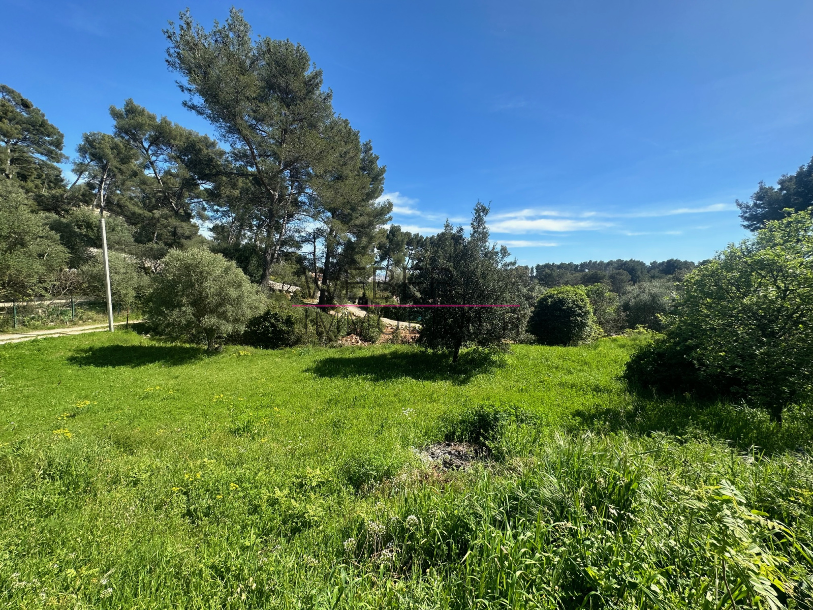 Image_1, Terrain, Ollioules,
                                ref :5
