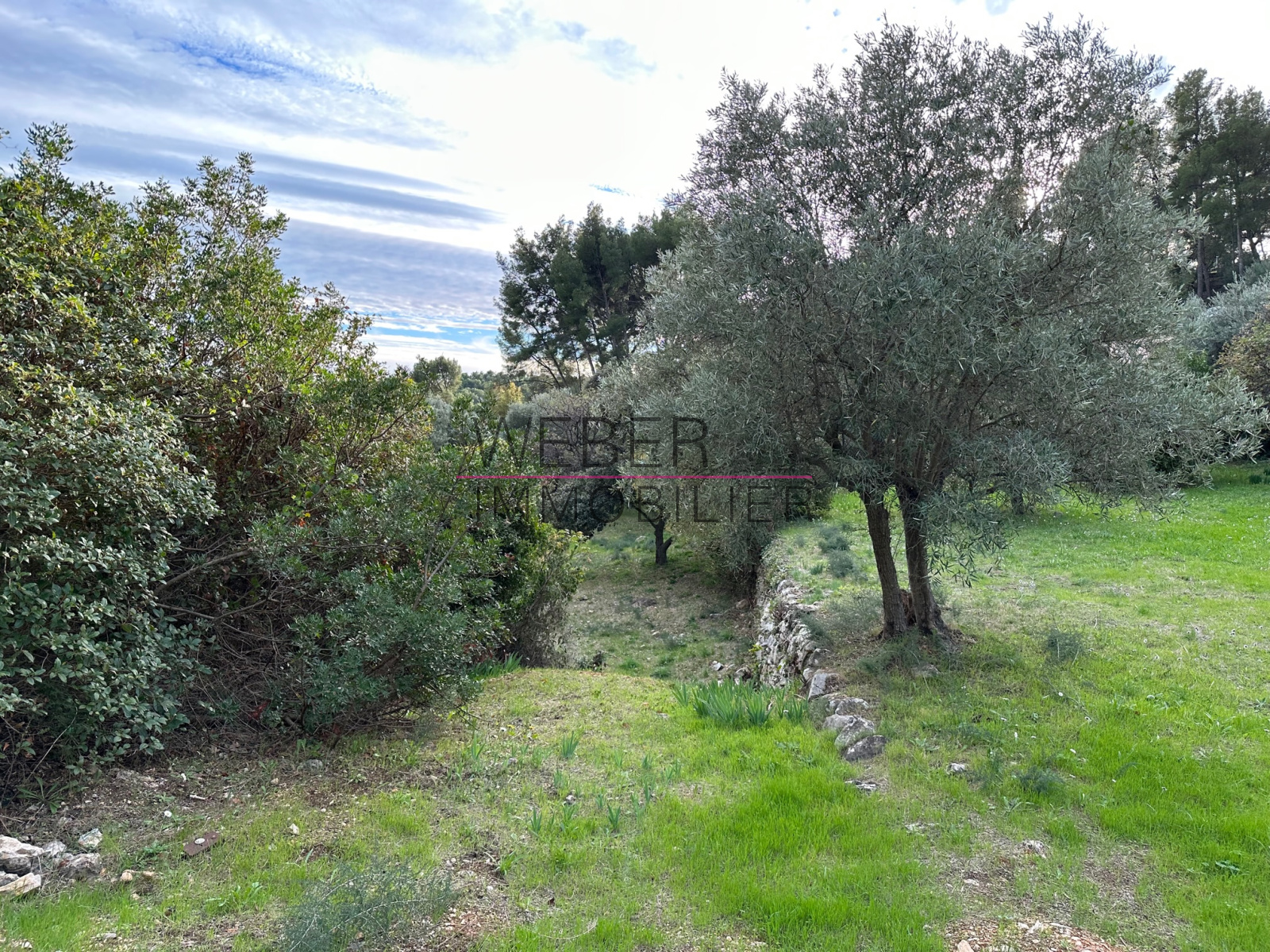 Image_2, Terrain, Ollioules,
                                ref :5