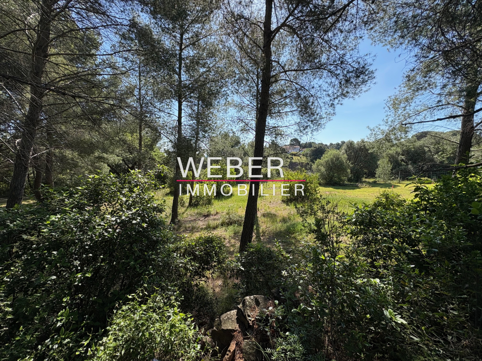 Image_4, Terrain, Ollioules,
                                ref :3726