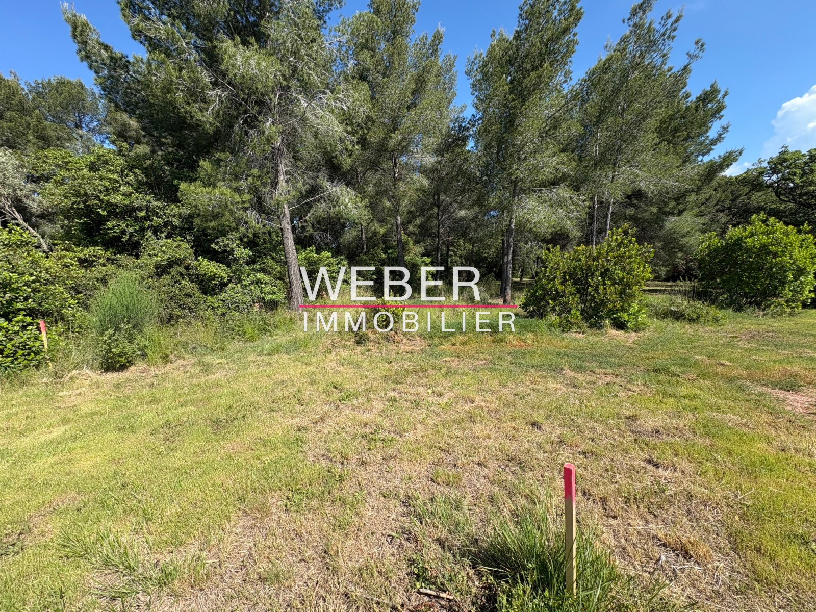 Image_6, Terrain, Ollioules,
                                ref :3726