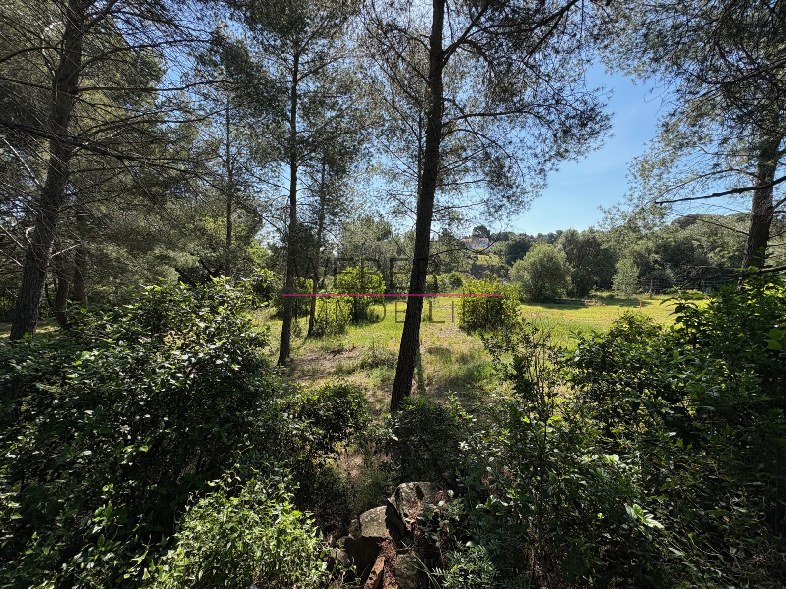 Image_1, Terrain, Ollioules,
                                ref :03619