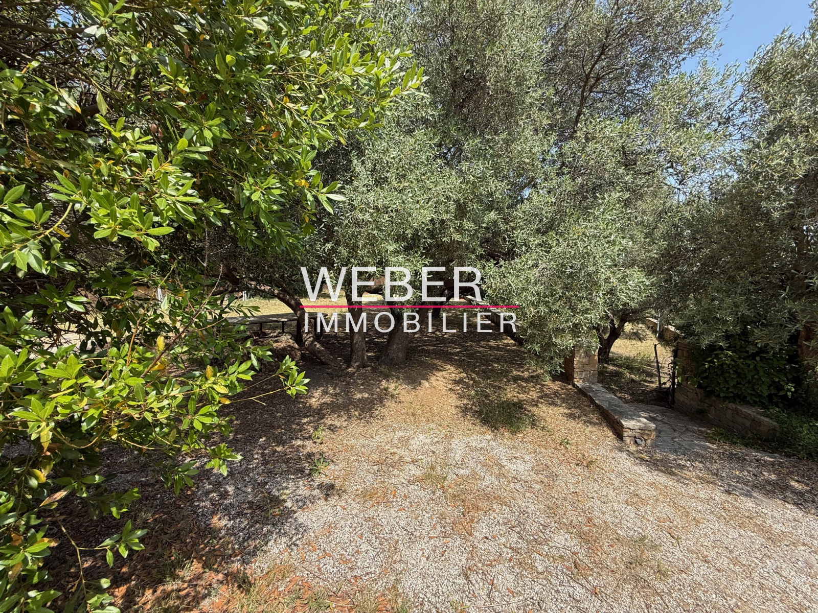 Image_6, Maison / villa, Ollioules,
                                ref :013715