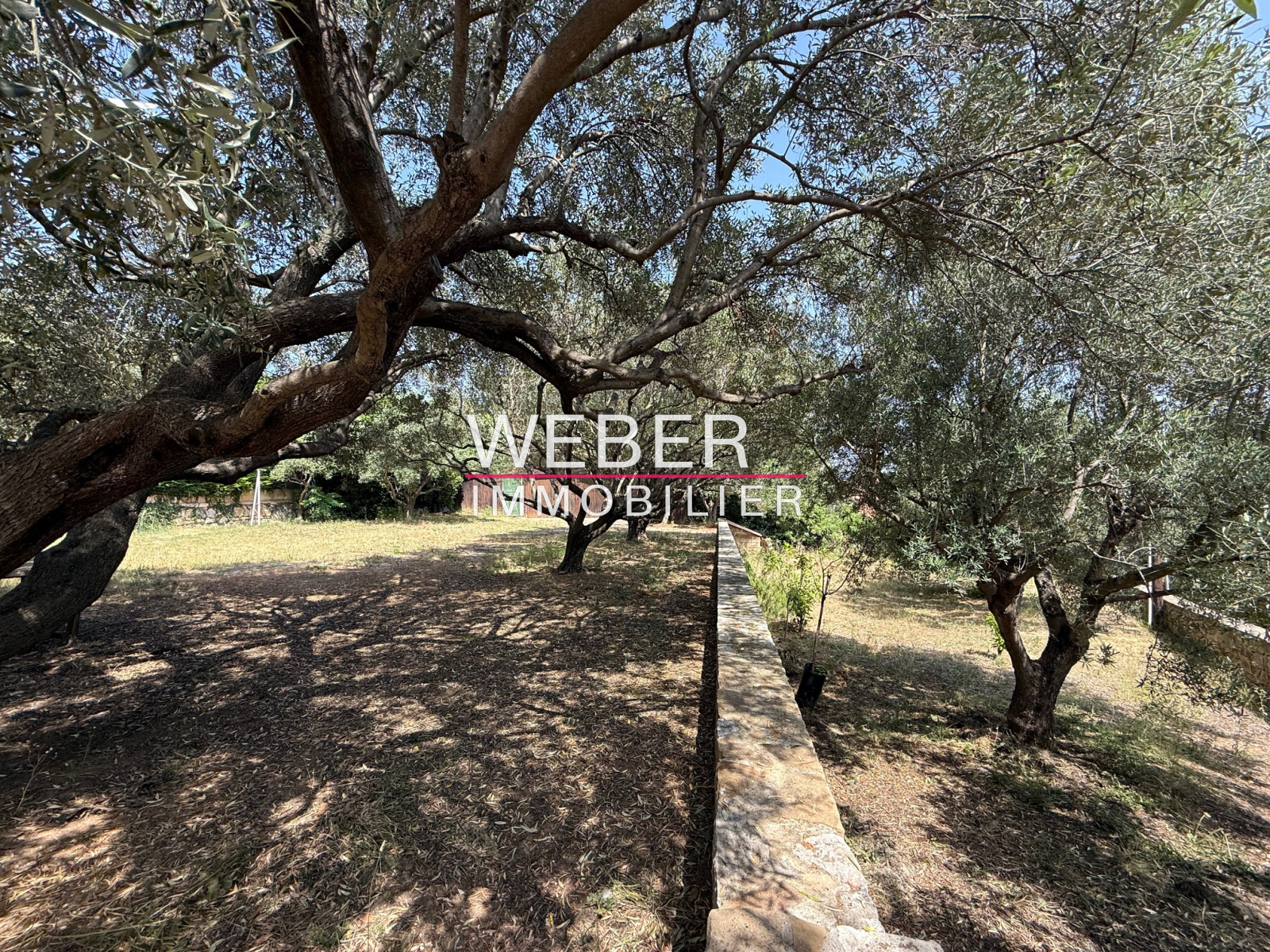 Image_5, Maison / villa, Ollioules,
                                ref :013715