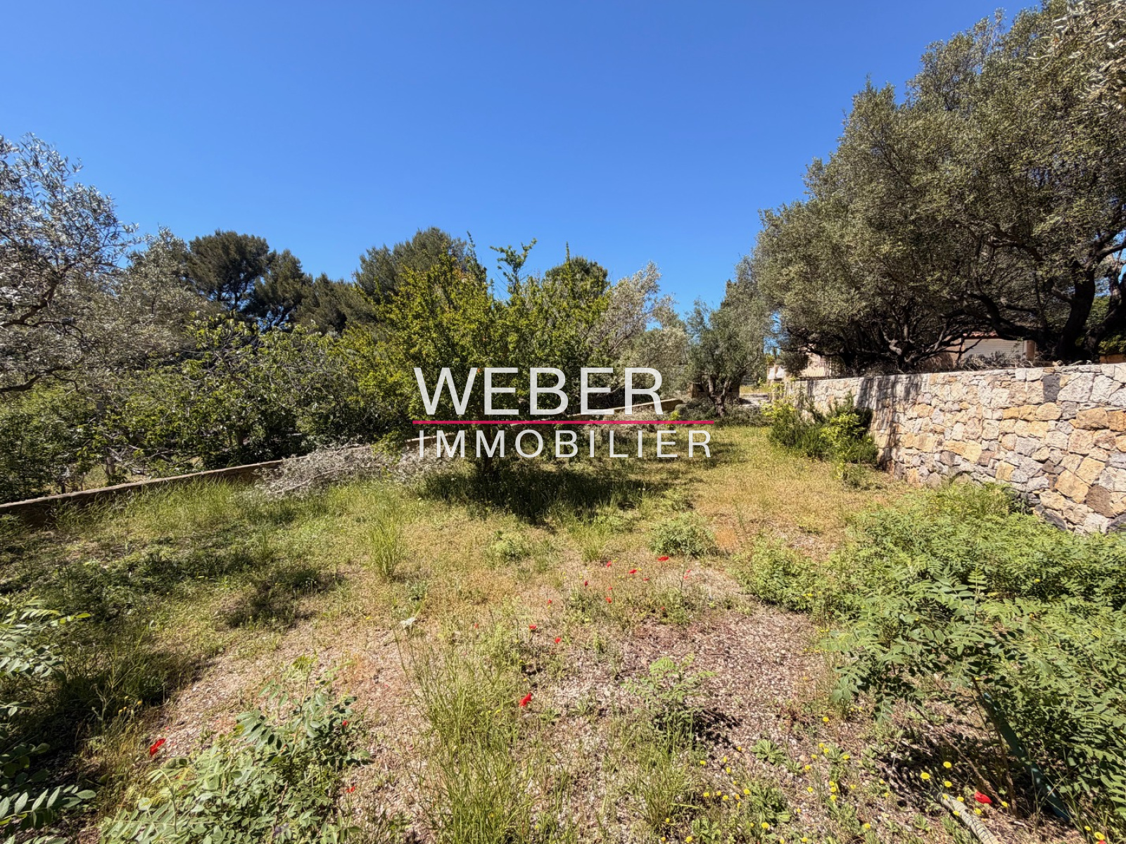 Image_10, Maison / villa, Ollioules,
                                ref :01356