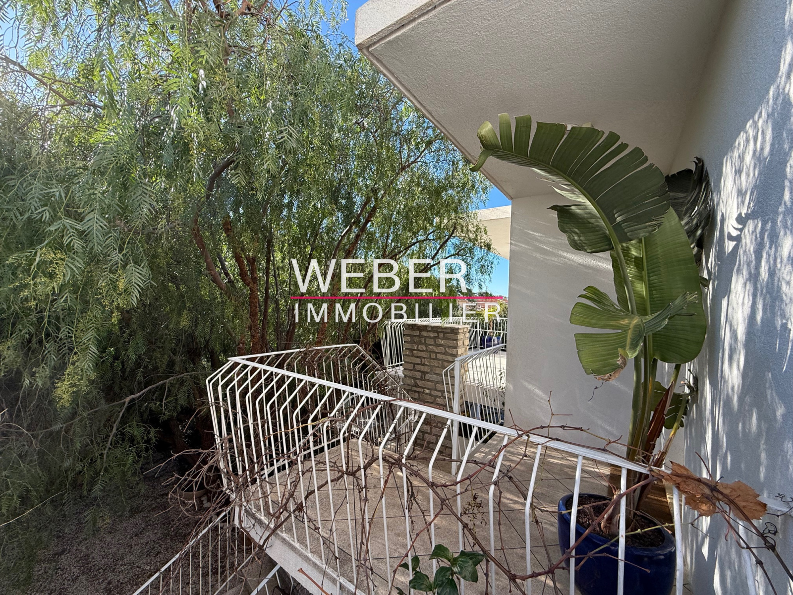 Image_9, Maison / villa, Sanary-sur-Mer,
                                ref :0013723