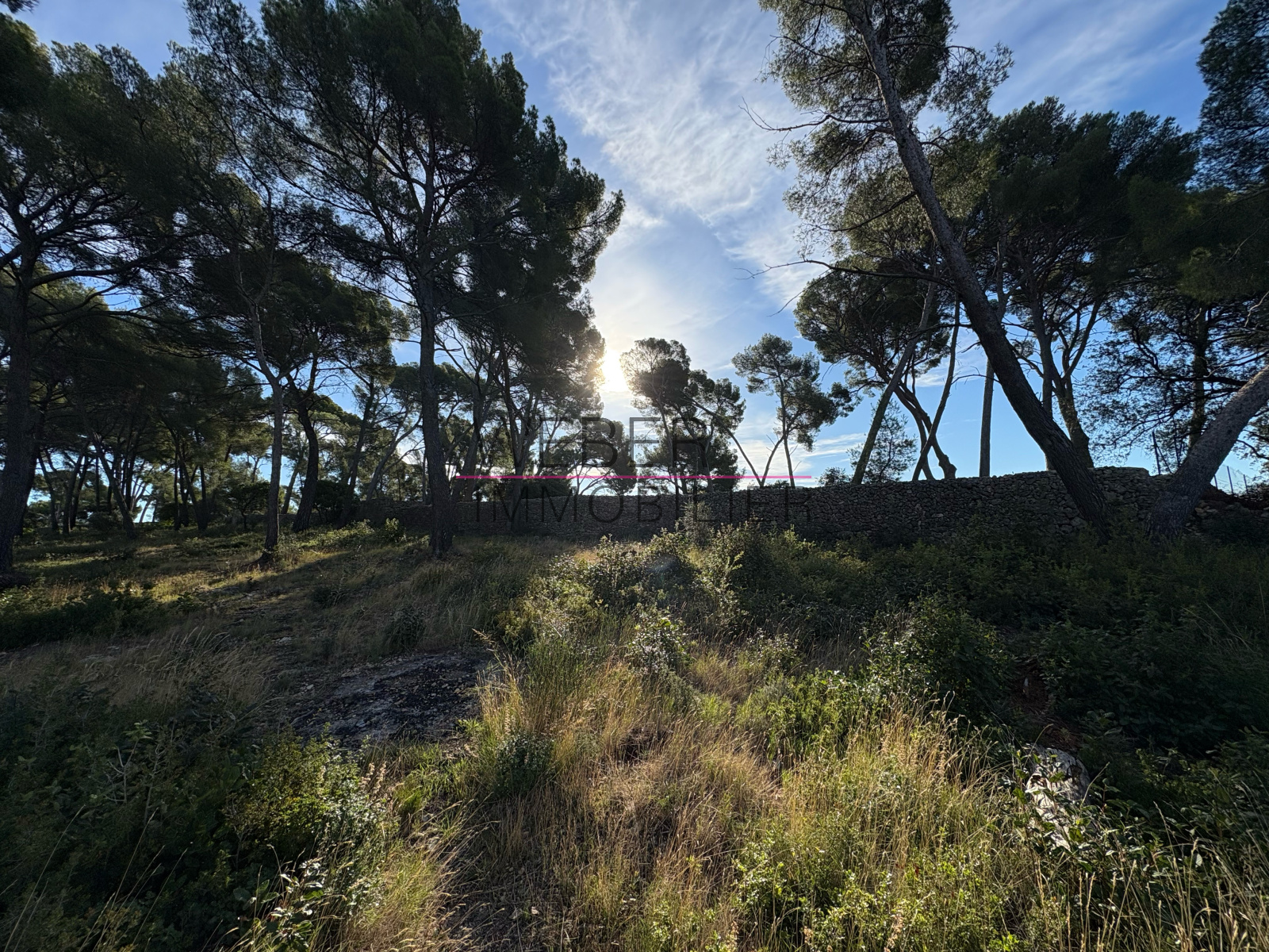 Image_3, Terrain, Ollioules,
                                ref :3695