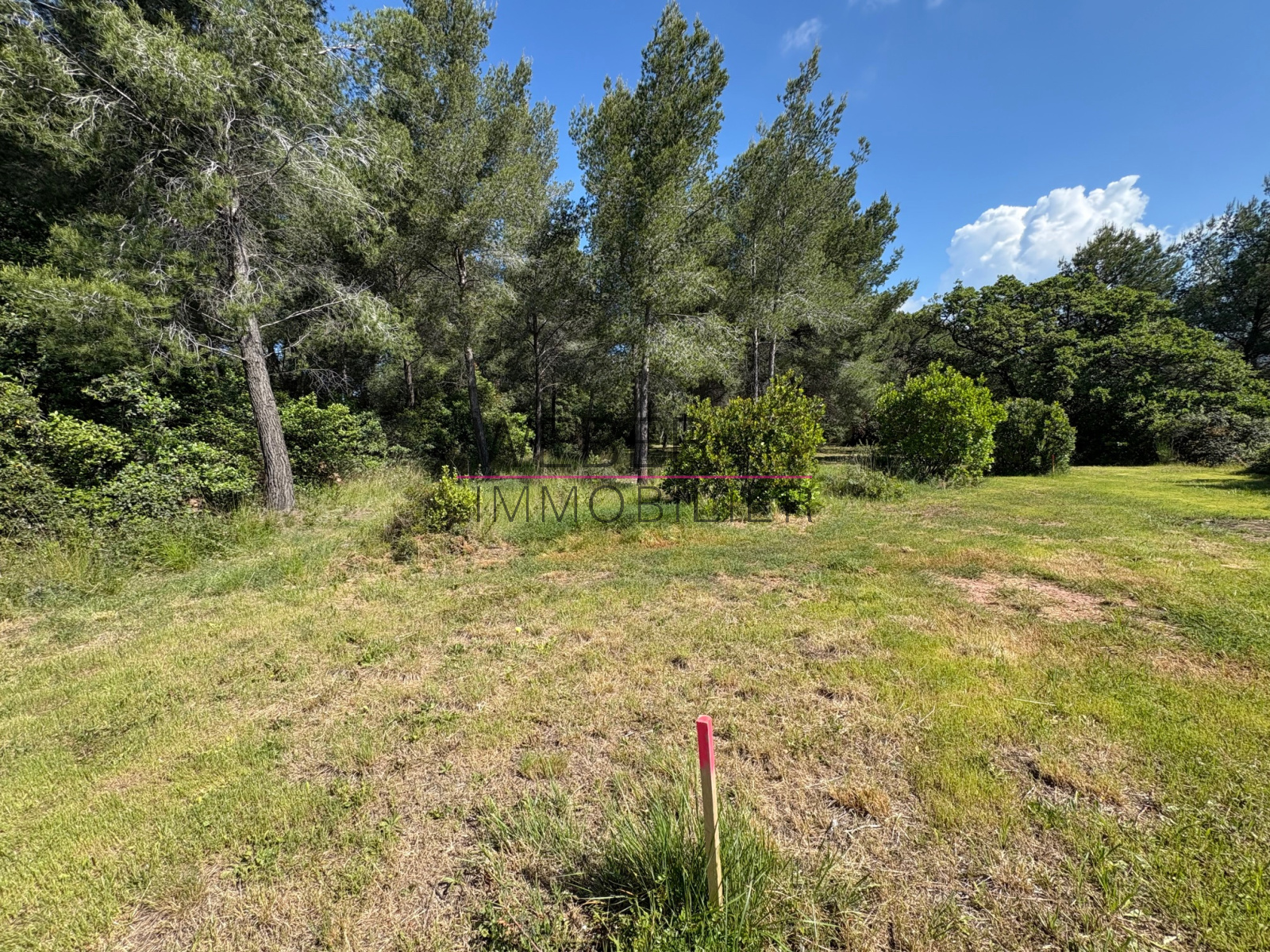 Image_4, Terrain, Ollioules,
                                ref :1123