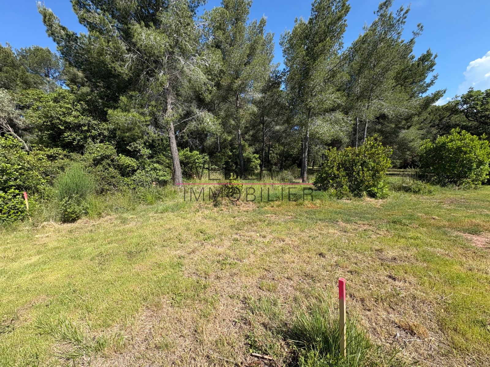 Image_6, Terrain, Ollioules,
                                ref :1123