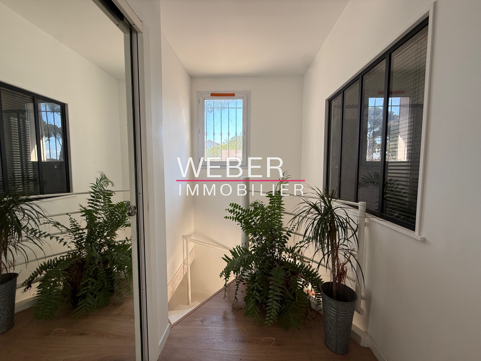 Image_12, Maison / villa, Sanary-sur-Mer,
                                ref :0125