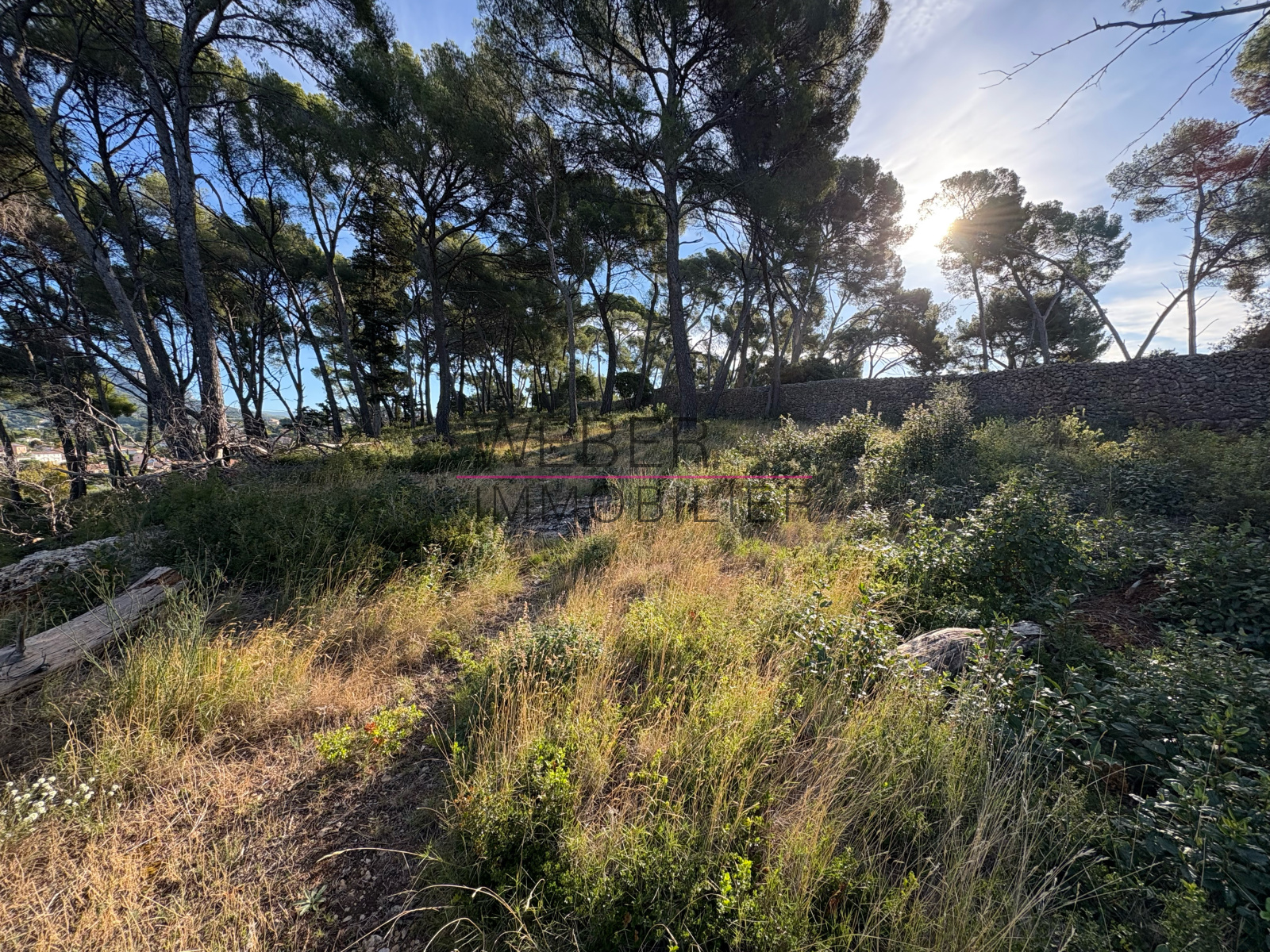 Image_1, Terrain, Ollioules,
                                ref :003695