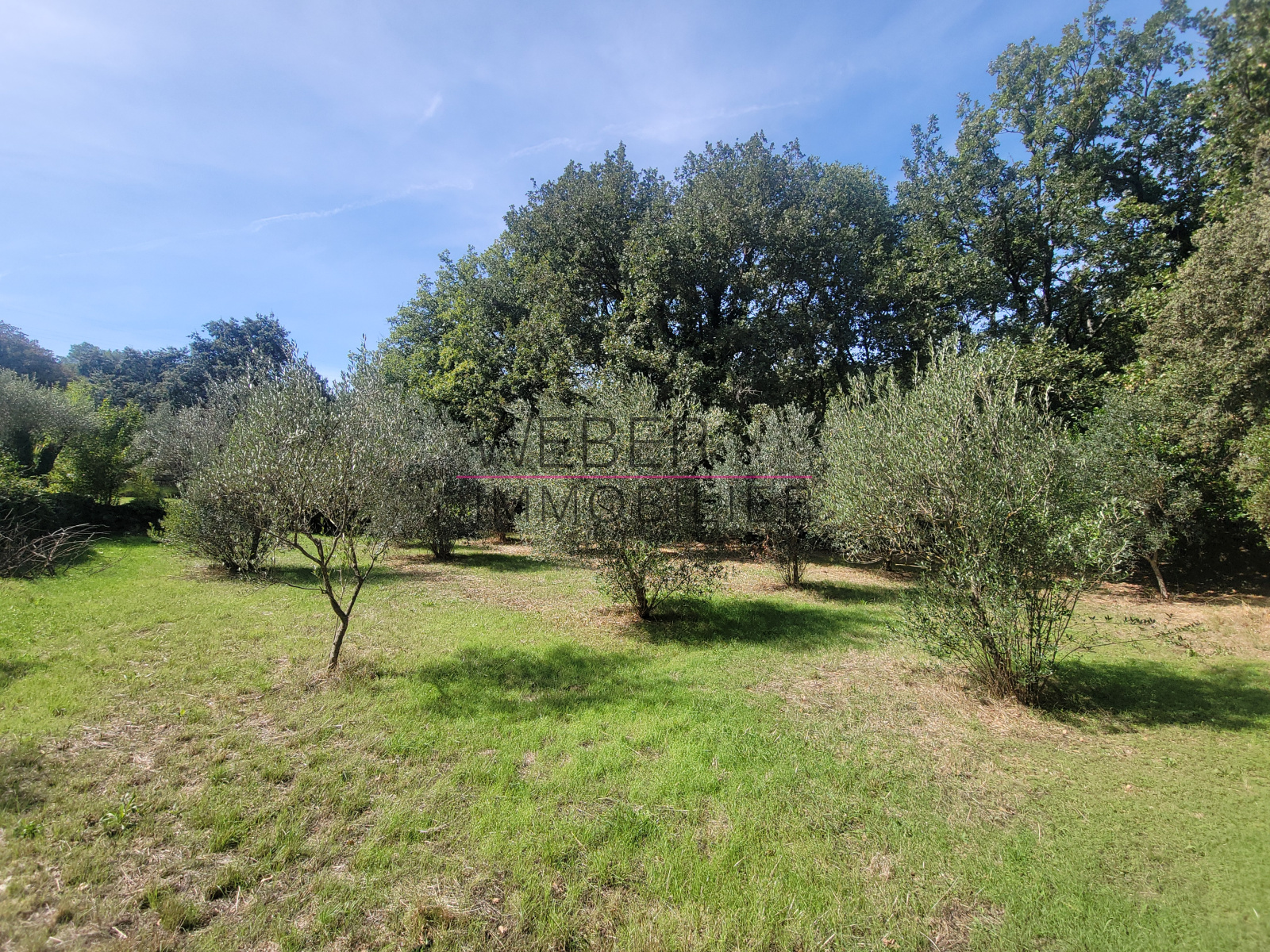 Image_14, Maison / villa, Évenos,
                                ref :036830