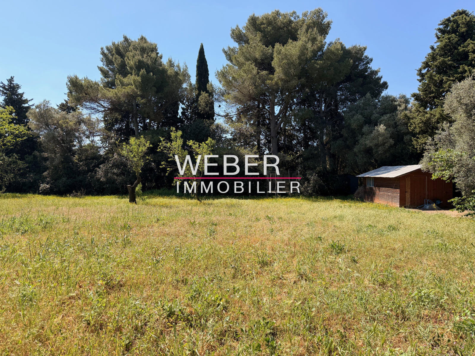 Image_2, Maison / villa, Ollioules,
                                ref :37551