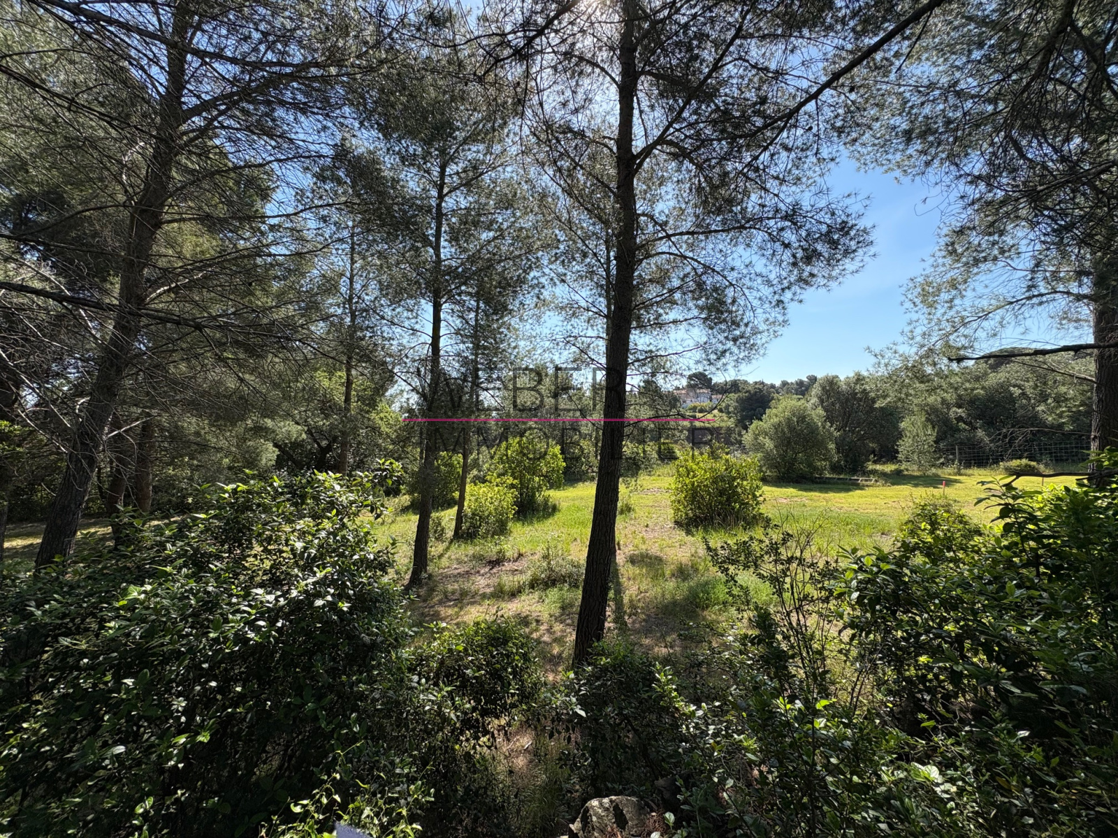 Image_3, Terrain, Ollioules,
                                ref :0036190