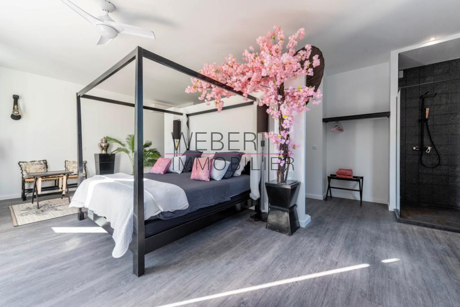 Image_10, Propriete, Toulon,
                                ref :1501