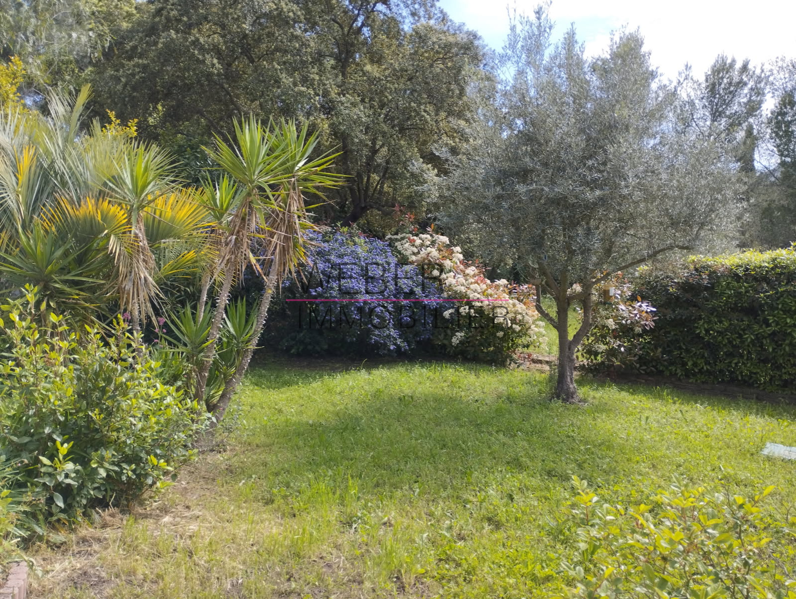 Image_13, Maison / villa, Le Beausset,
                                ref :4433