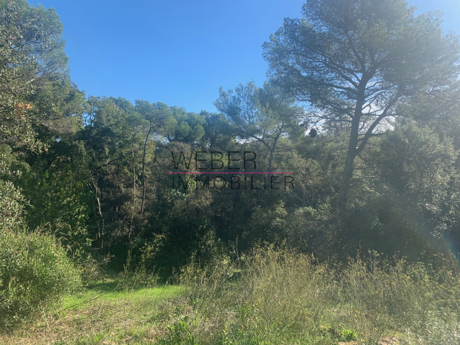 Image_5, Maison / villa, Six-Fours-les-Plages,
                                ref :03690