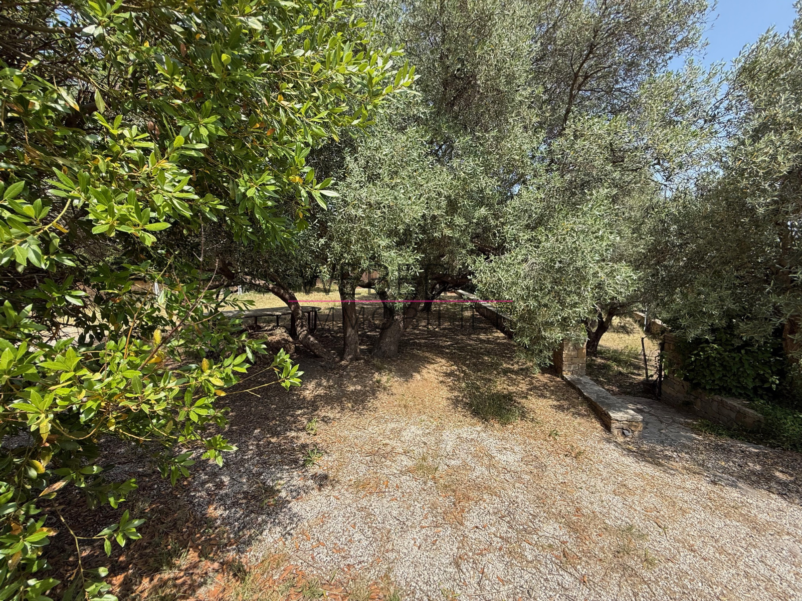 Image_6, Maison / villa, Ollioules,
                                ref :03715