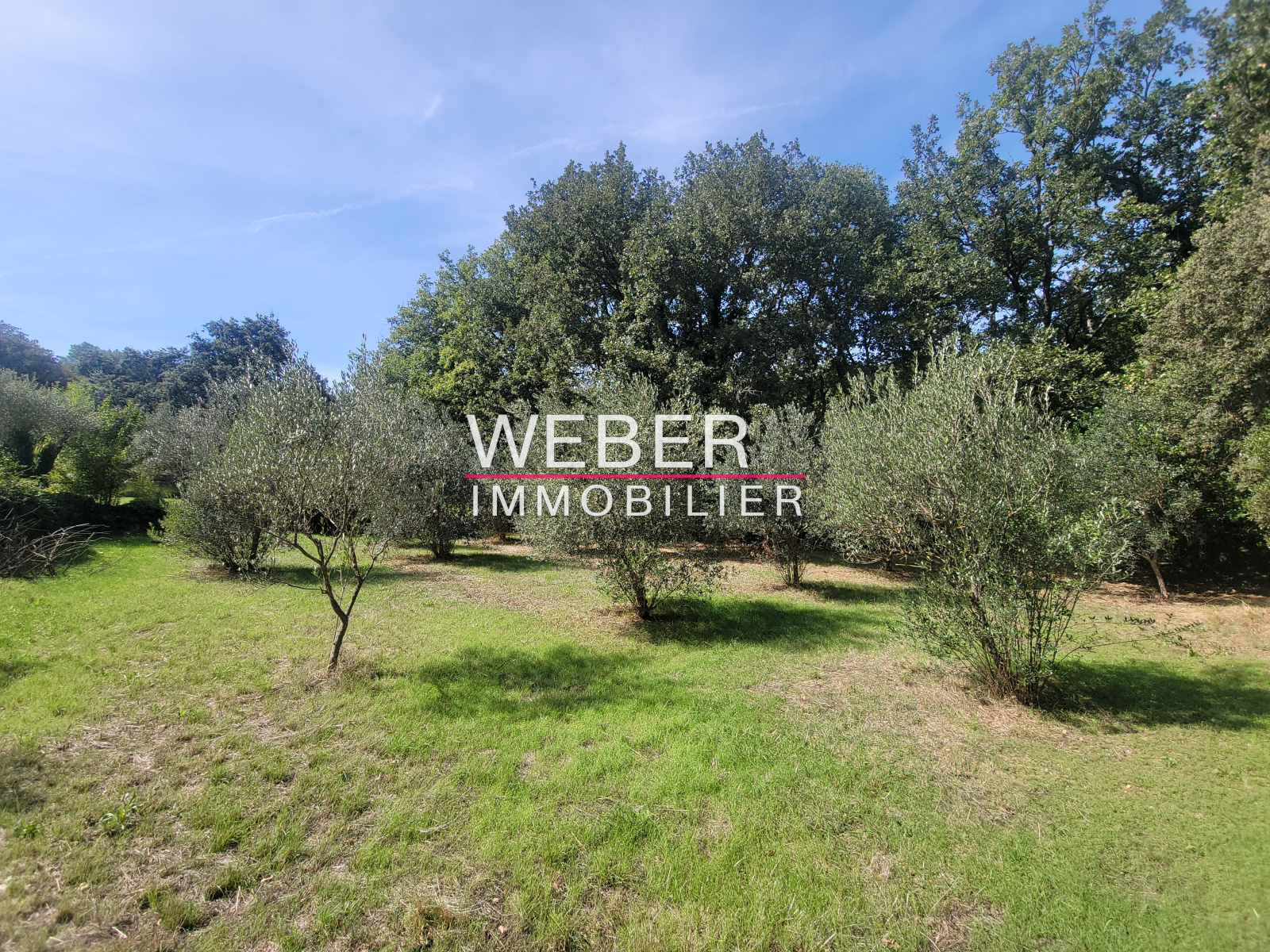 Image_15, Maison / villa, Évenos,
                                ref :00363