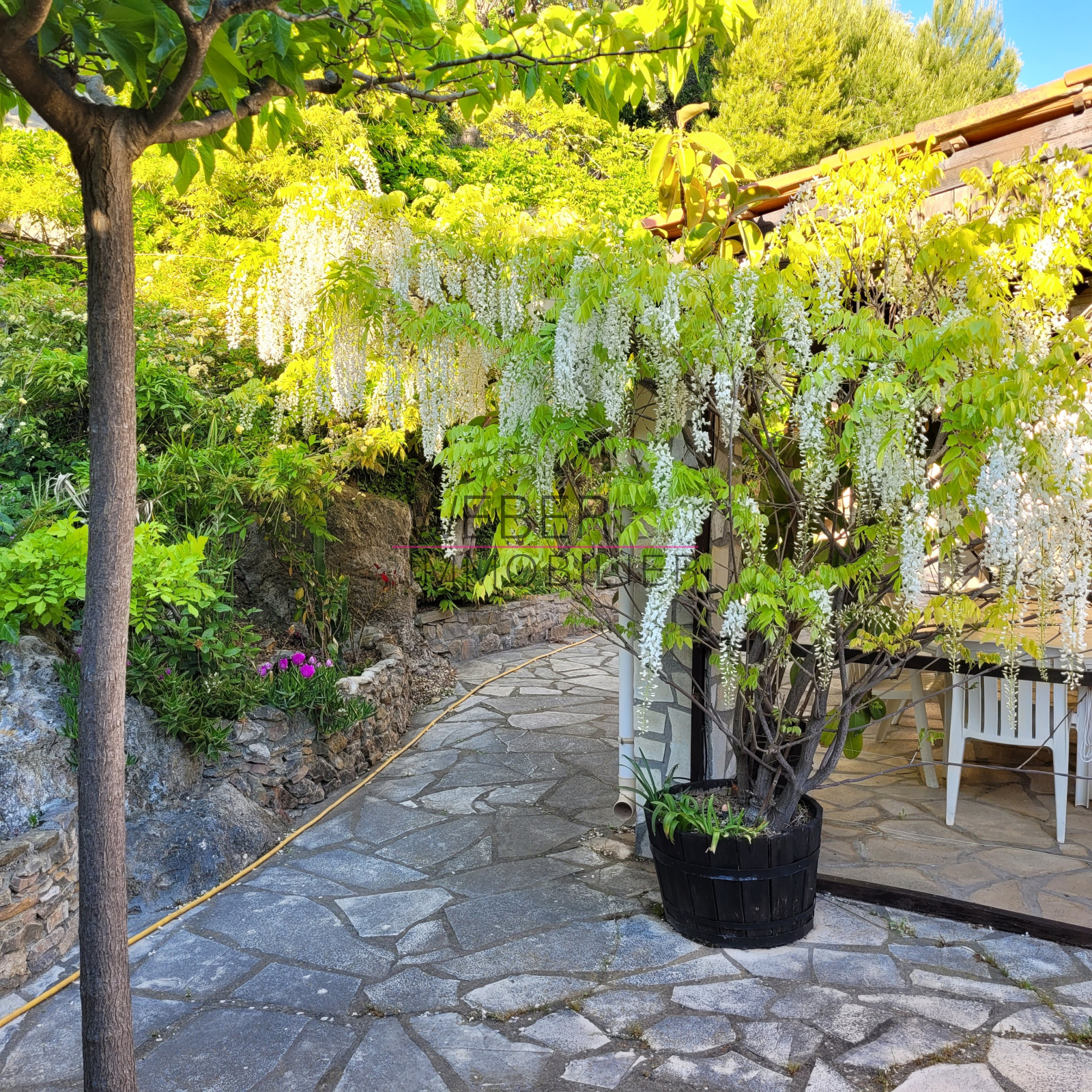 Image_4, Maison / villa, Ollioules,
                                ref :25