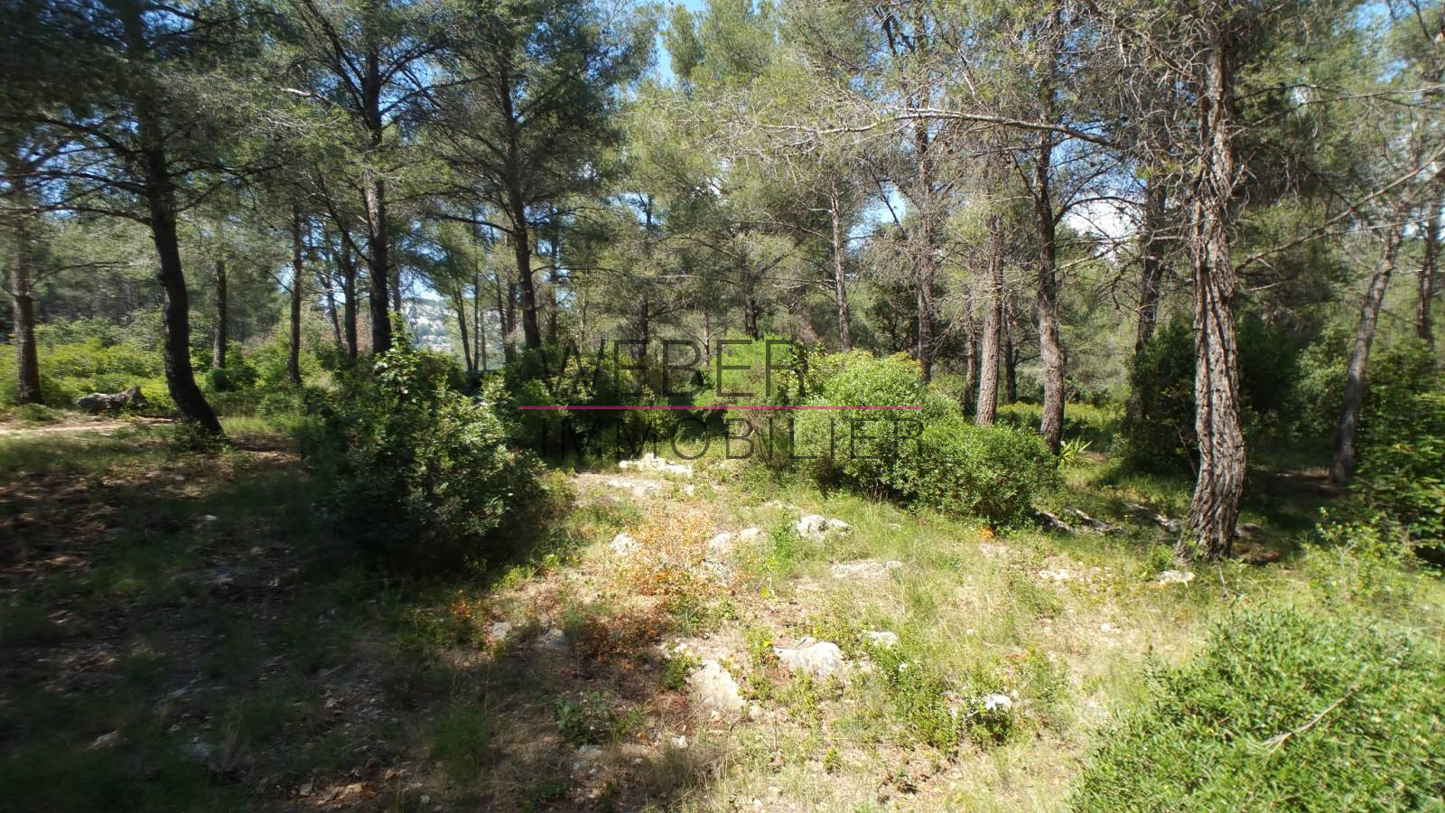 Image_1, Terrain, Ollioules,
                                ref :03616