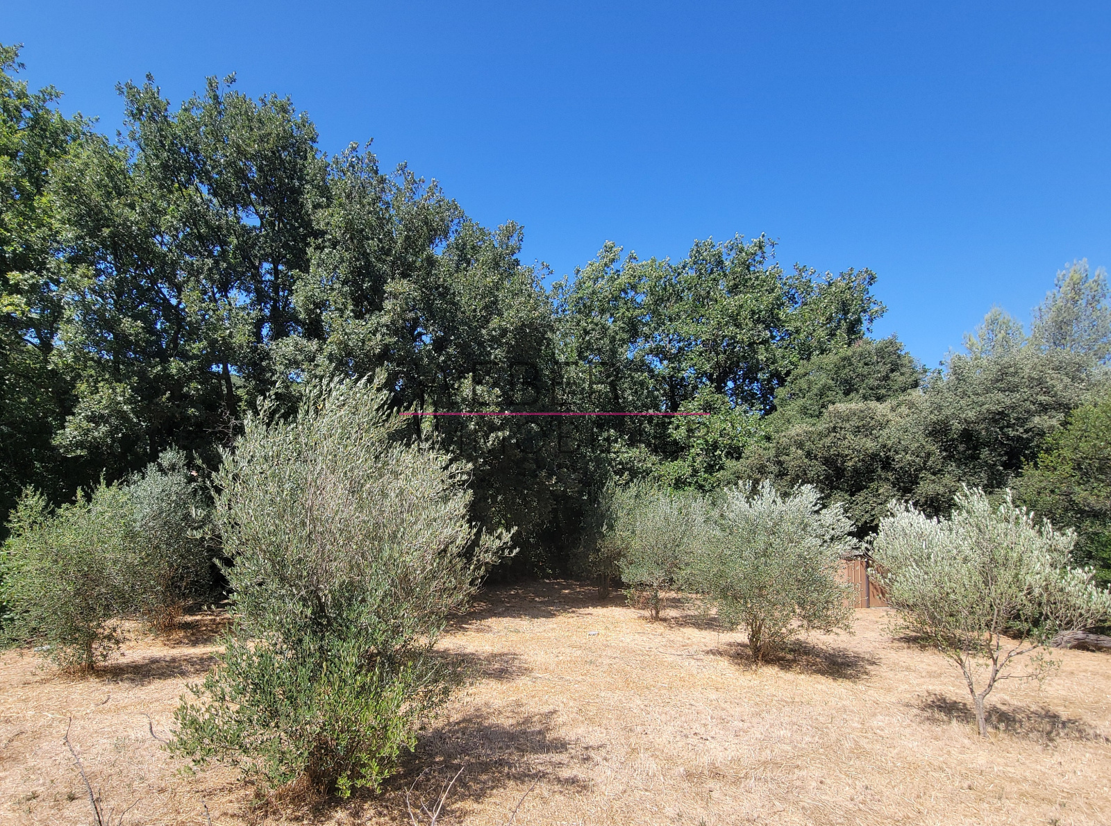 Image_18, Maison / villa, Évenos,
                                ref :003683