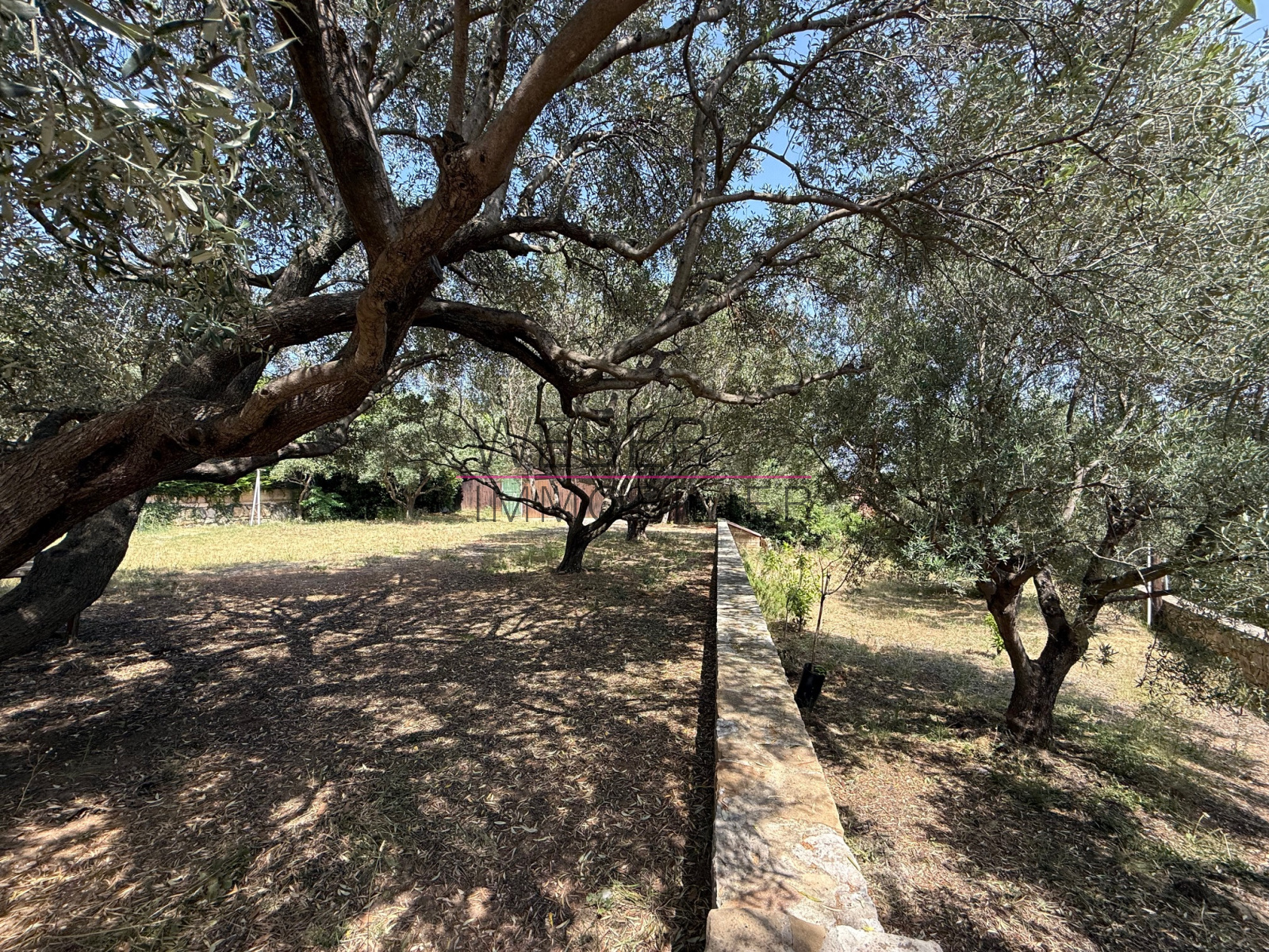 Image_5, Maison / villa, Ollioules,
                                ref :003715