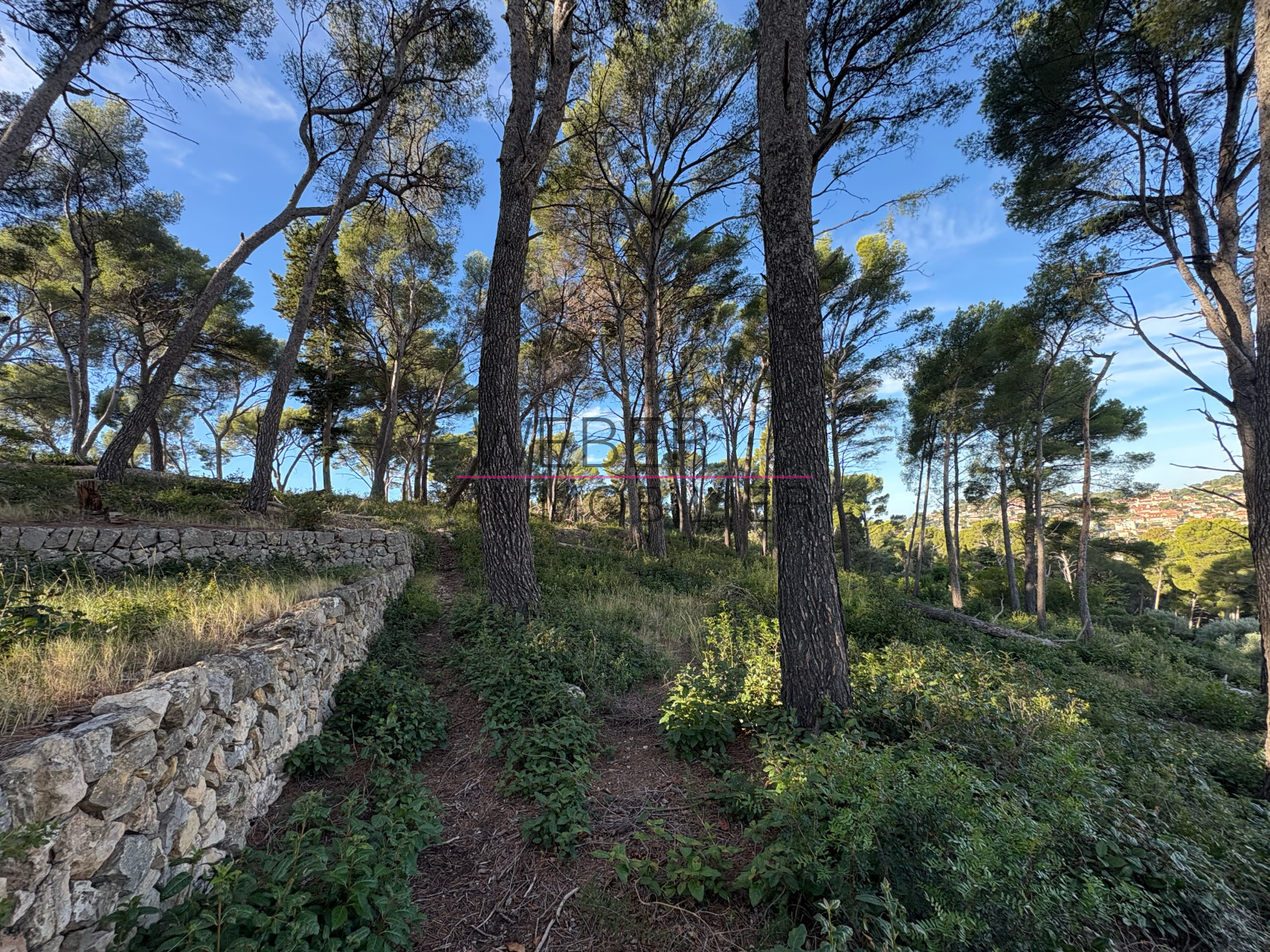 Image_1, Terrain, Ollioules,
                                ref :03696