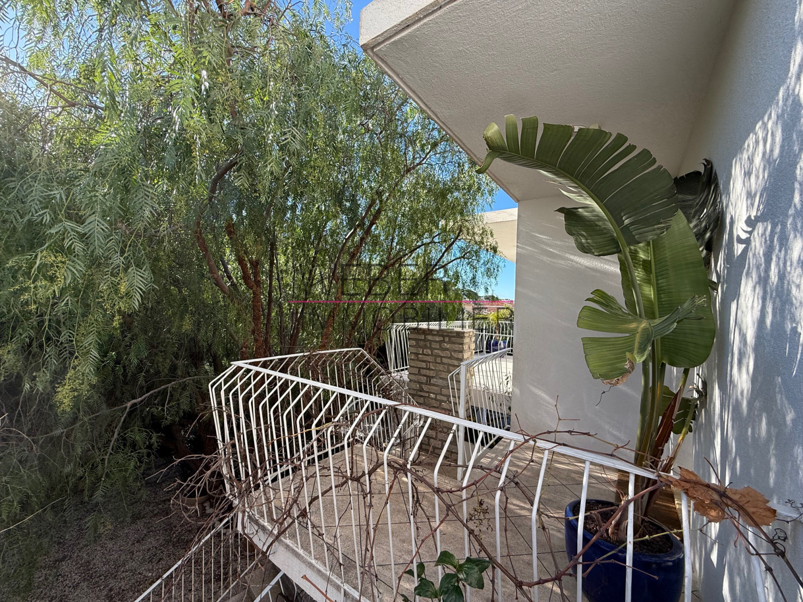 Image_6, Maison / villa, Sanary-sur-Mer,
                                ref :3723