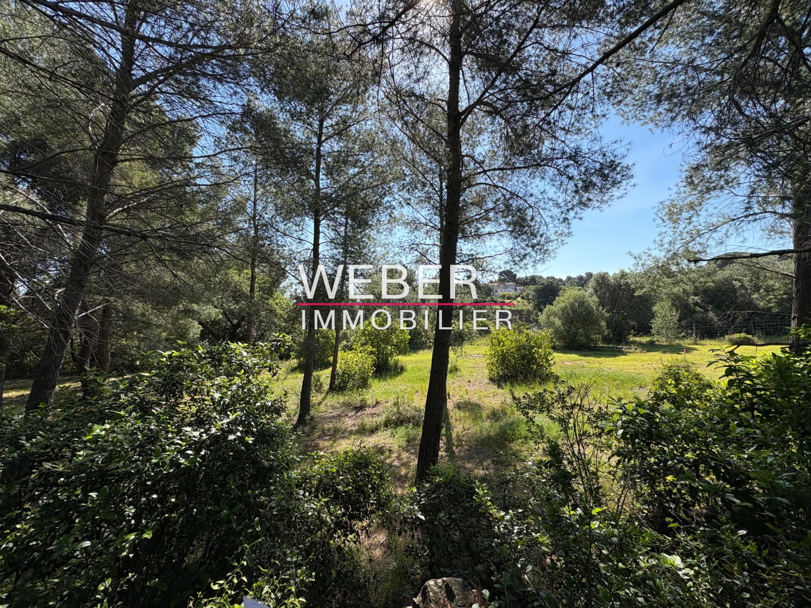 Image_1, Terrain, Ollioules,
                                ref :00111