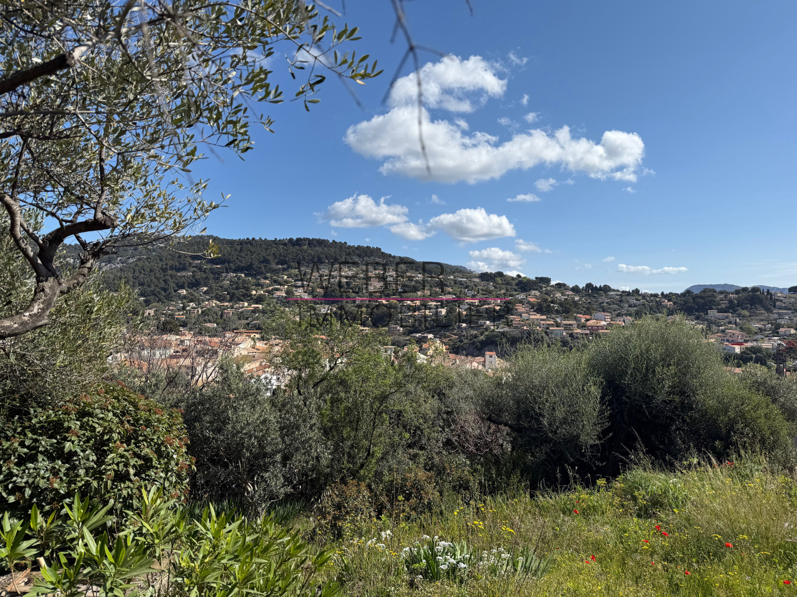 Image_3, Maison / villa, Ollioules,
                                ref :003641