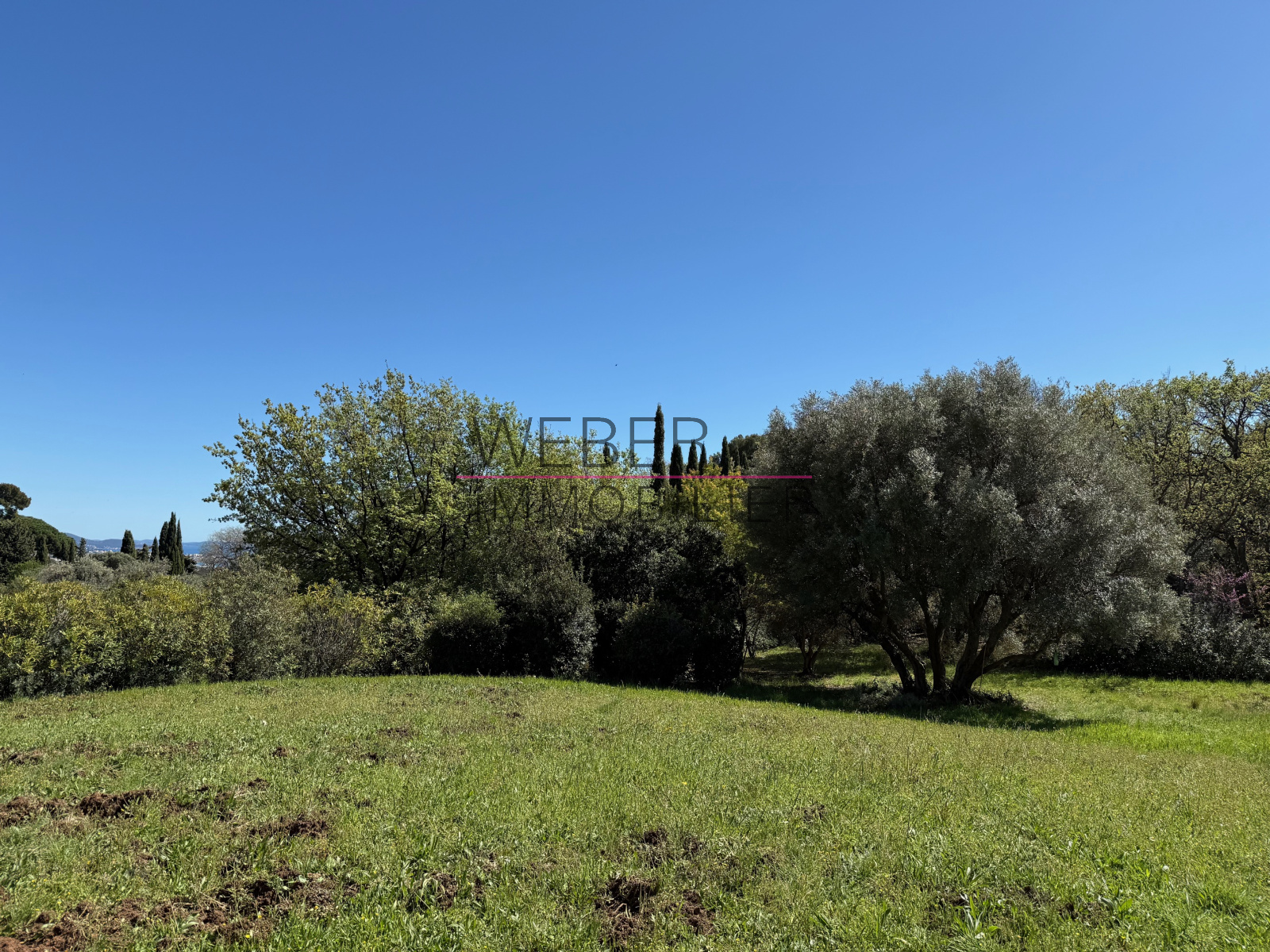 Image_6, Maison / villa, Ollioules,
                                ref :03644