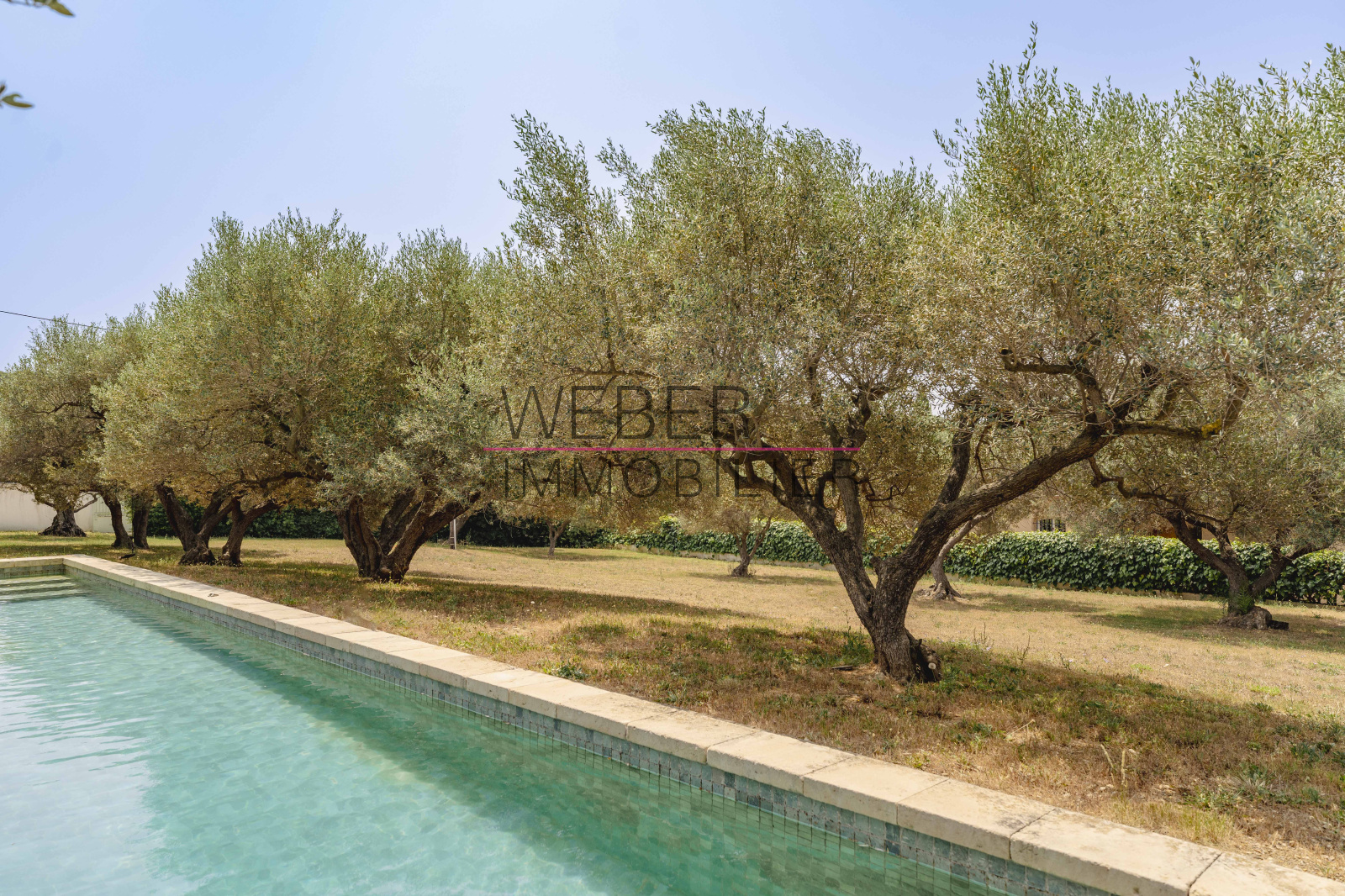 Image_5, Maison / villa, Sanary-sur-Mer,
                                ref :3665