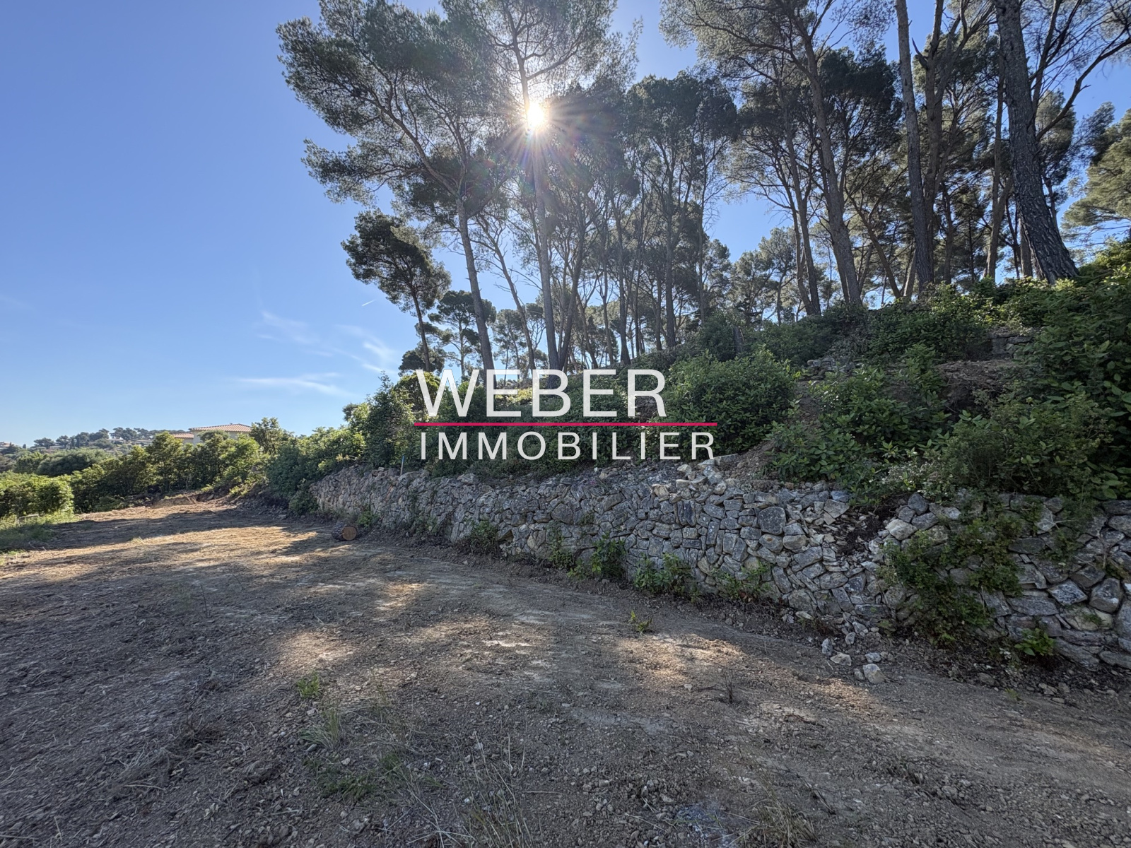 Image_4, Terrain, Ollioules,
                                ref :0231