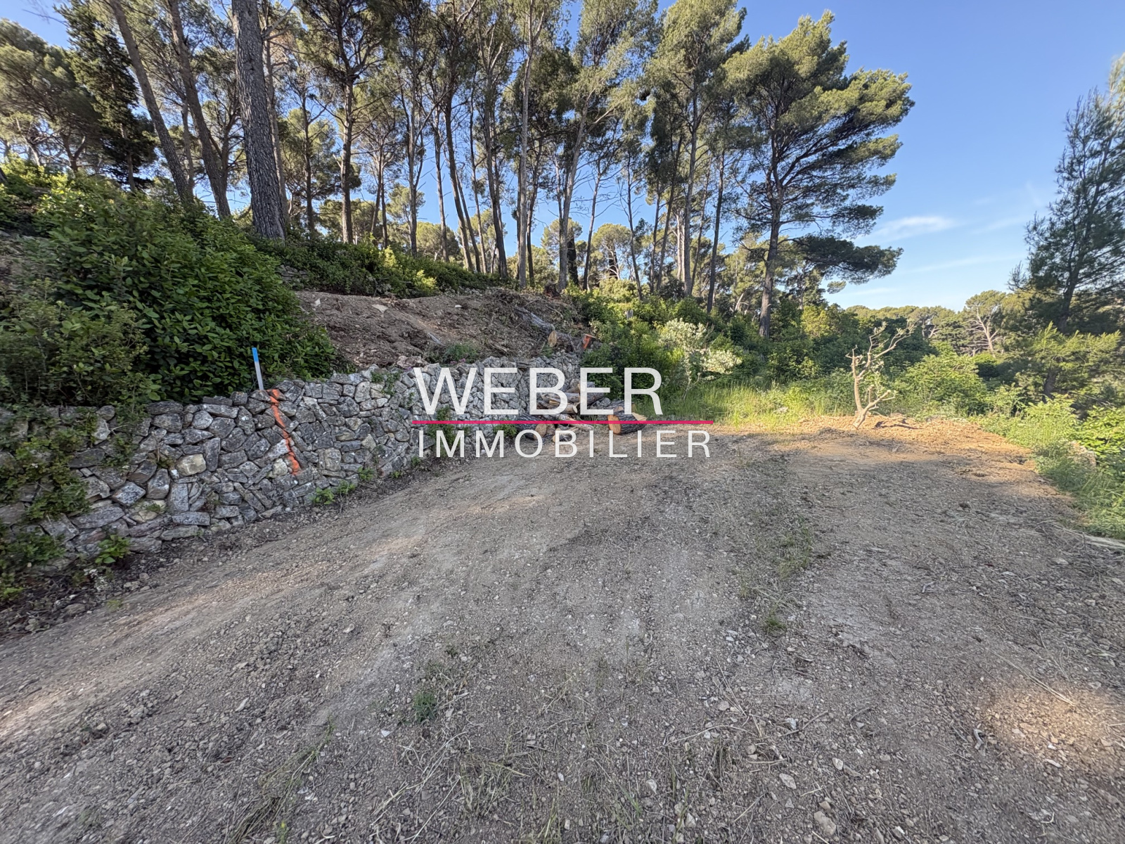 Image_1, Terrain, Ollioules,
                                ref :0231